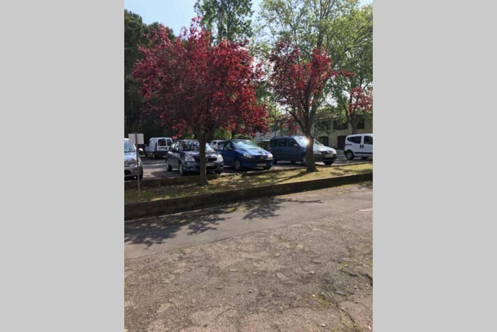 Bel Appartement Avec Vue Et Parking Prive Béziers Exterior foto